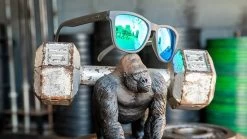 Goodr Sunglasses - OG Beast Collection (OG) -Sports Products Sale Store Product 0009 Silverback 1000x d453092e adbf 4888 9597 575f8b234ba2