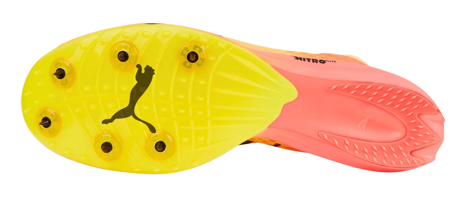 PUMA Unisex EvoSPEED Distance Nitro Elite+ 2 4 PUMA Unisex EvoSPEED Distance Nitro Elite+ 2 - Image 2