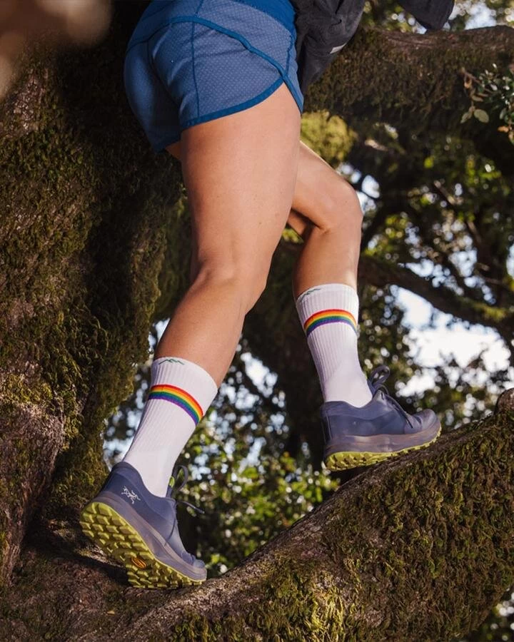 Darn Tough Women's Prism Crew Light Cushion Athletic Sock (1110) 4 Darn Tough Women's Prism Crew Light Cushion Athletic Sock (1110) - Image 2