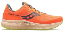 Saucony Women's Triumph 19